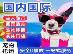 博鳌机场托运国际宠物托运 【国